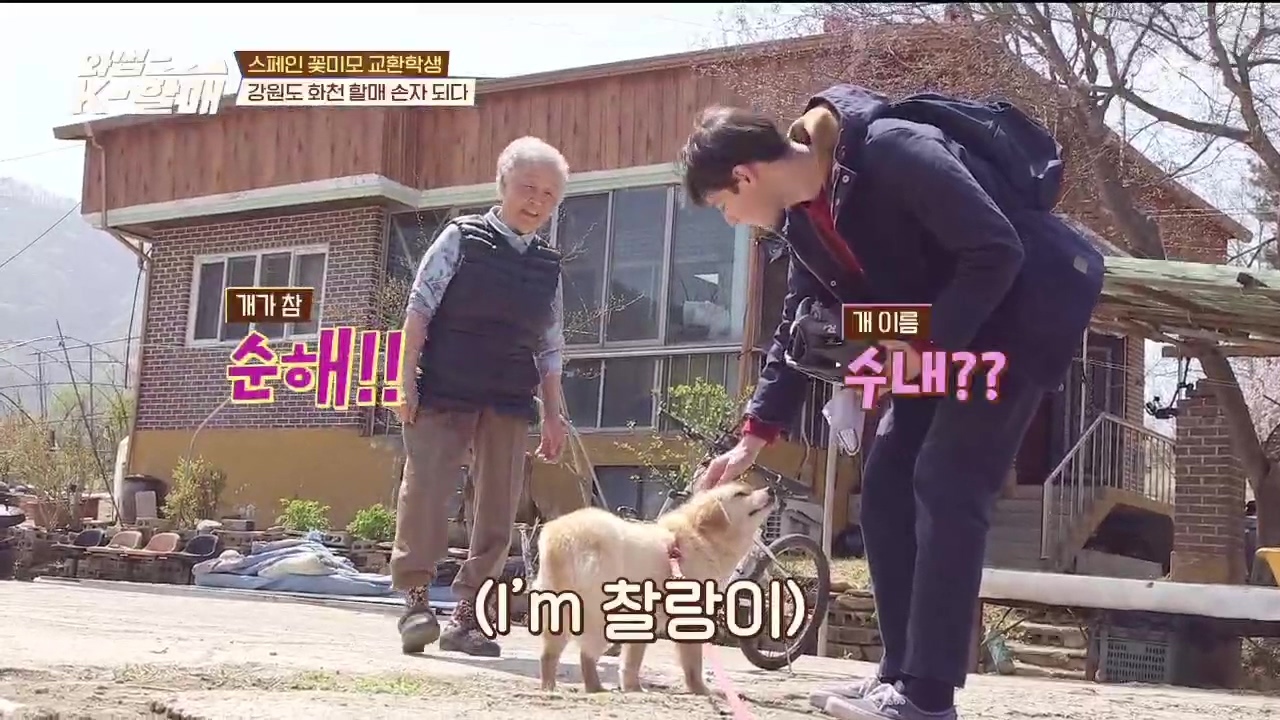 [와썹k할매] 외국인에게 제대로 플렉스하며 챙겨주는 k-할매 | 인스티즈