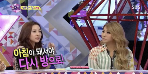 씨엘호텔 이미지