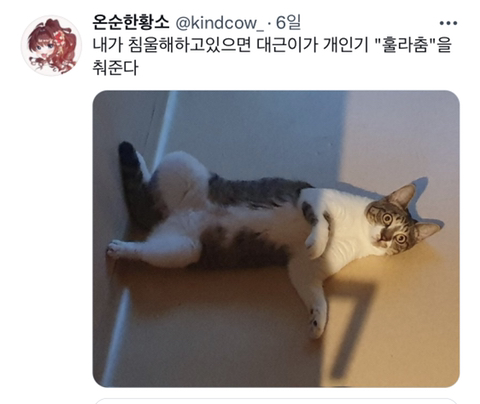 내가 침울해 하고 있으면 -가 -해준다 .twt | 인스티즈