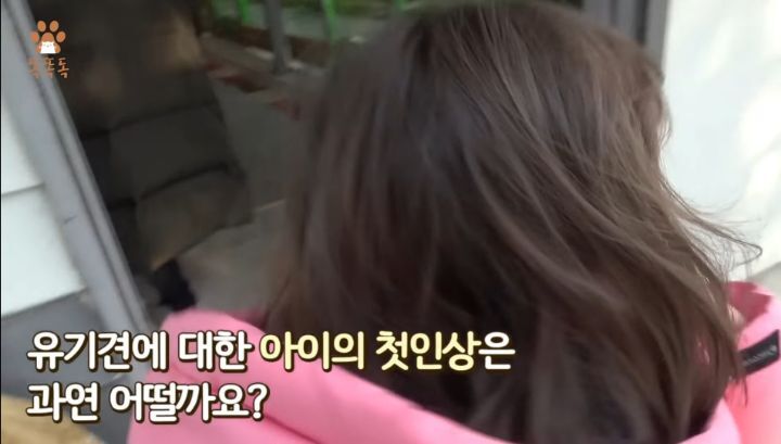 7살 아이 눈에 비친 유기견 보호소는? | 인스티즈