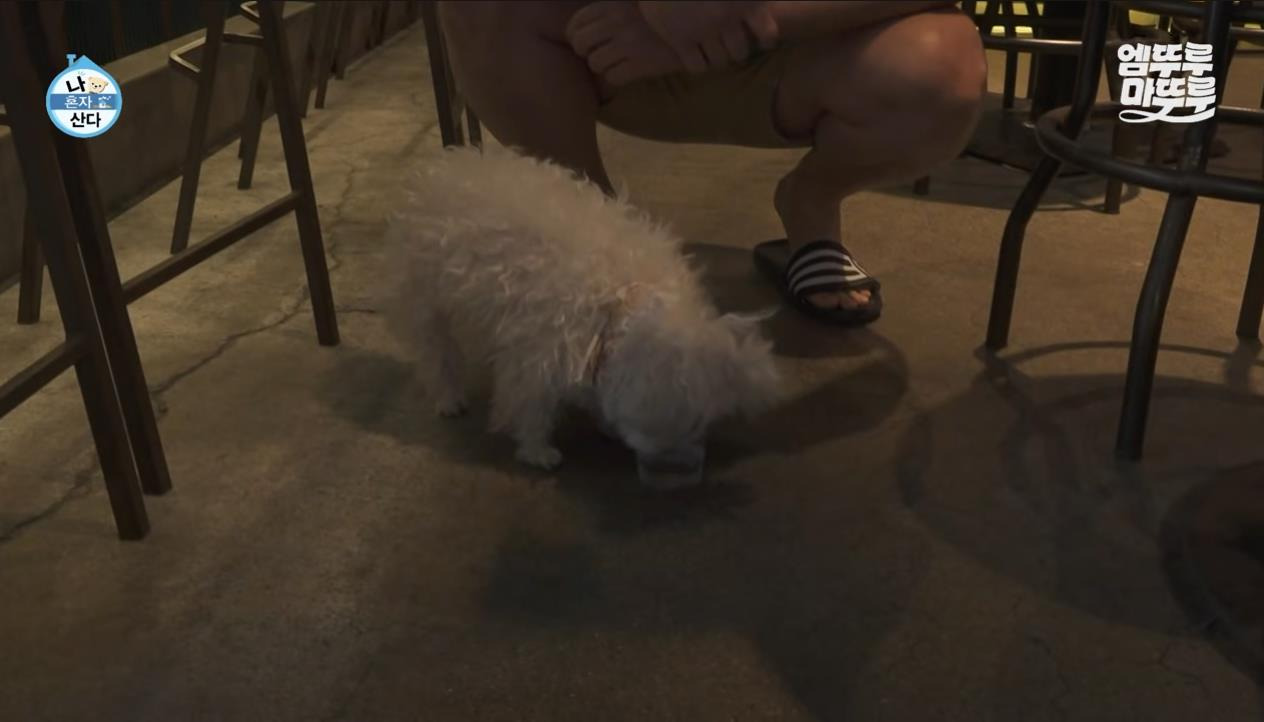 [나혼자산다] 정말 행복해 보이고, 낭만 미친 거 같은 구성환의 부산 한 달 살기 | 인스티즈