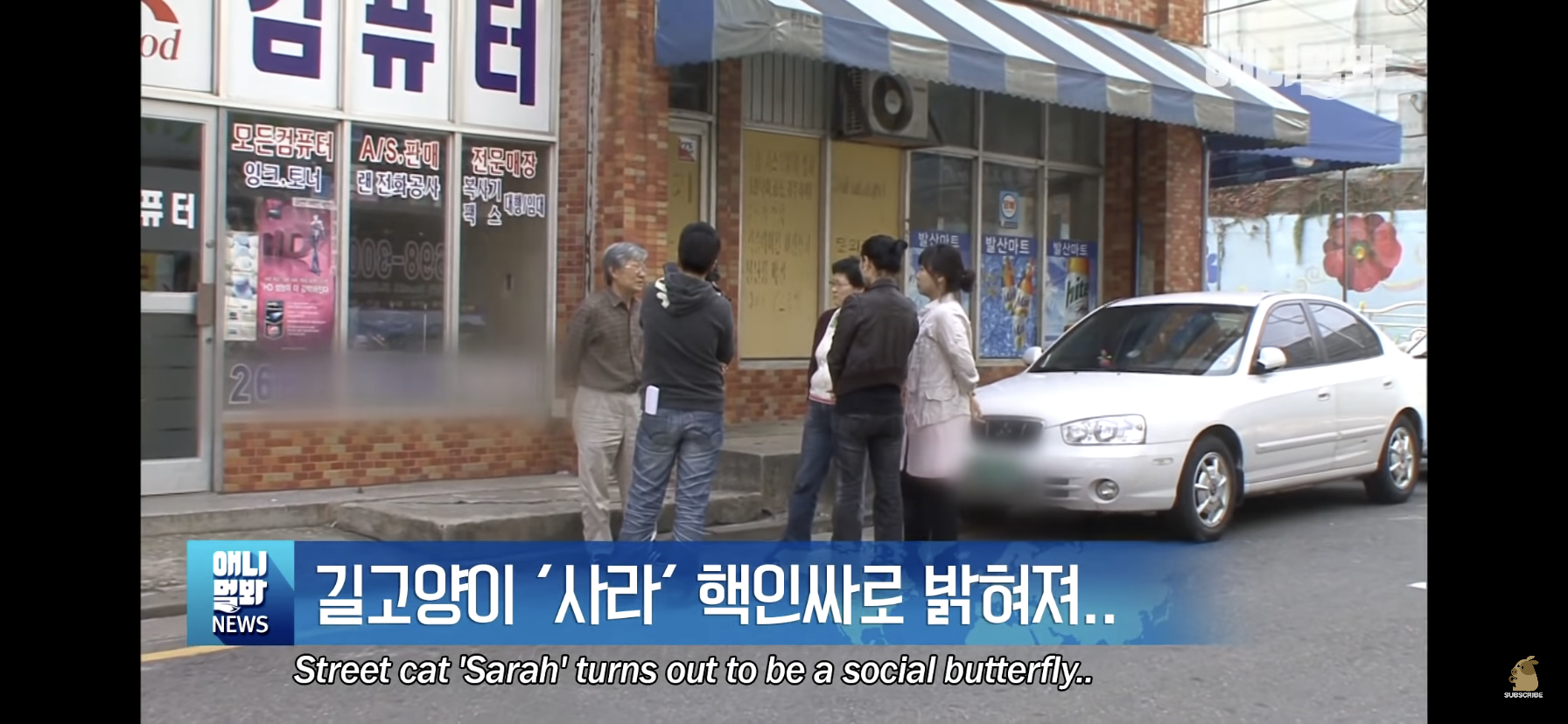 길고양이 목에 쪽지를 달자 생긴 영화같은 일 | 인스티즈