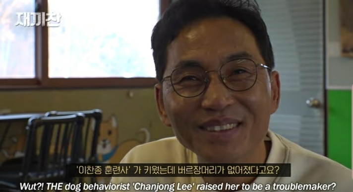 개농장에서 구출됐던 강아지 꽃님이의 버르장머리 없어진 최근 모습 | 인스티즈