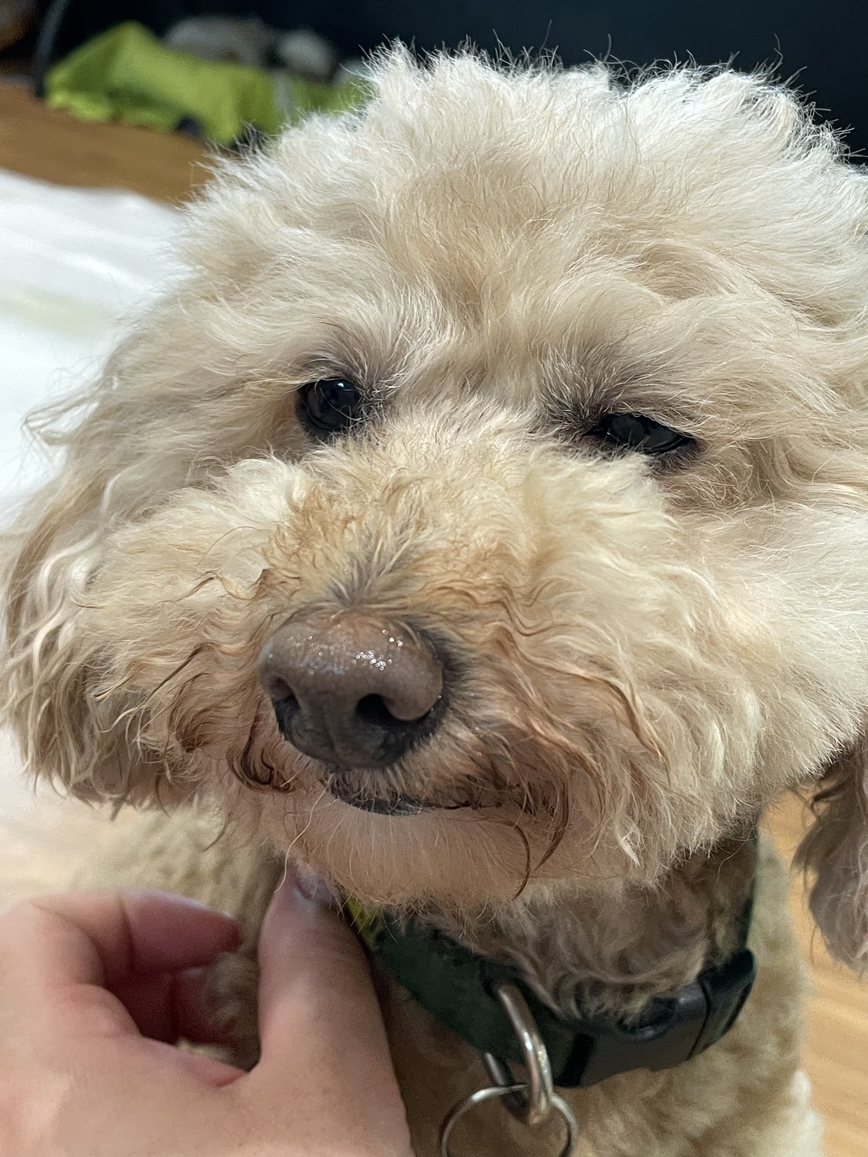 봉사 갈수록 애기들 아는척 하는 거 너무 귀여워.. | 인스티즈