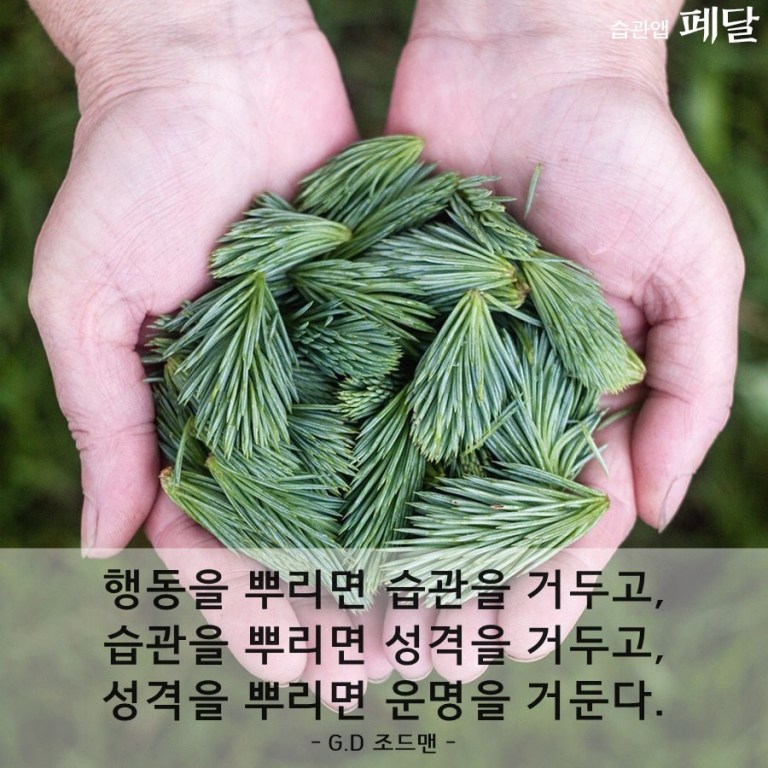 인생이 이유없이 불행하게 느껴진다면 습관 점검 | 인스티즈