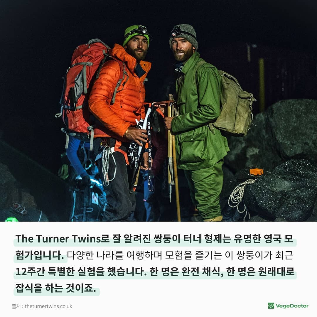 쌍둥이가 채식 vs 잡식으로 12주를 보낸다면? | 인스티즈