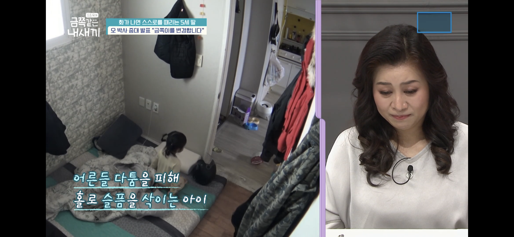 [금쪽같은내새끼] 최초로 아이가 아닌 부모가 금쪽이였던 오늘 편 | 인스티즈