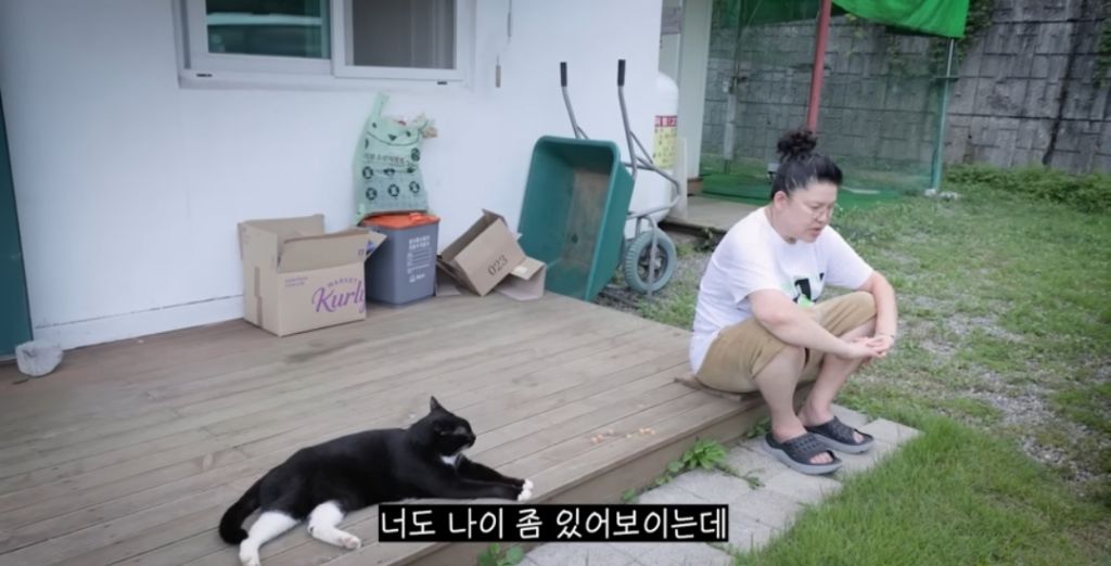 신발 물어 뜯은 고양이 찾아간 이영자 | 인스티즈