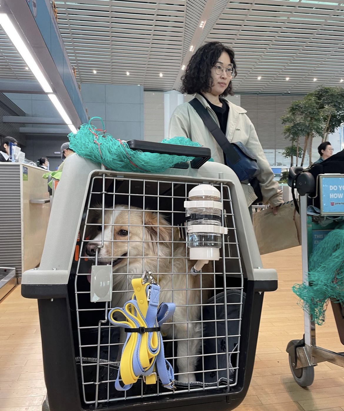 임보하던 강아지 입양 보낸 홍석천 인스타그램.jpg | 인스티즈