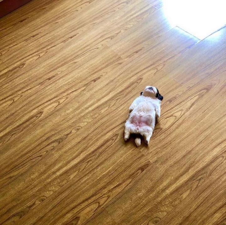 3967a36dd96dcddbf174e3fe5b7ab29fd04caaef