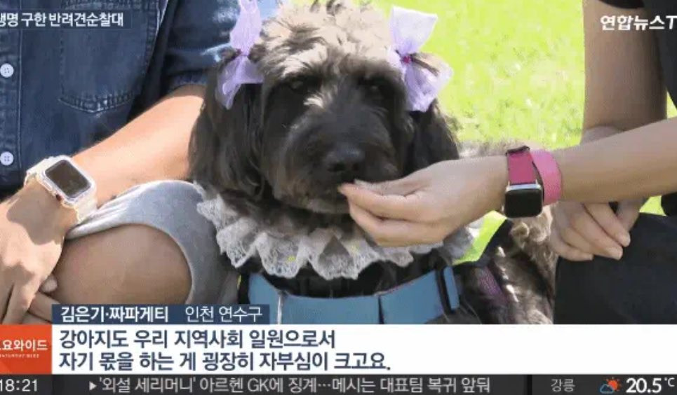 은인 이미지