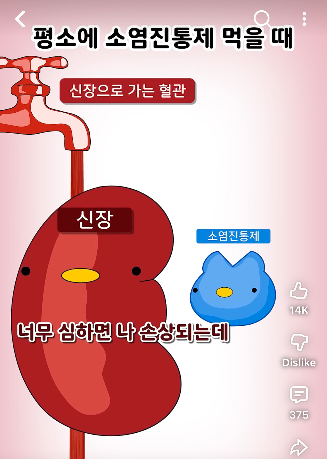술 먹고 약먹기, 토 하고 약먹기, 했다가 골로가는 이유 | 인스티즈