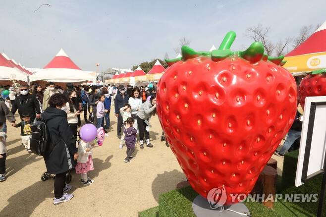 "나이 먹어서 그런가 무근본 지역 축제가 점점 흥미롭게 느껴짐" | 인스티즈