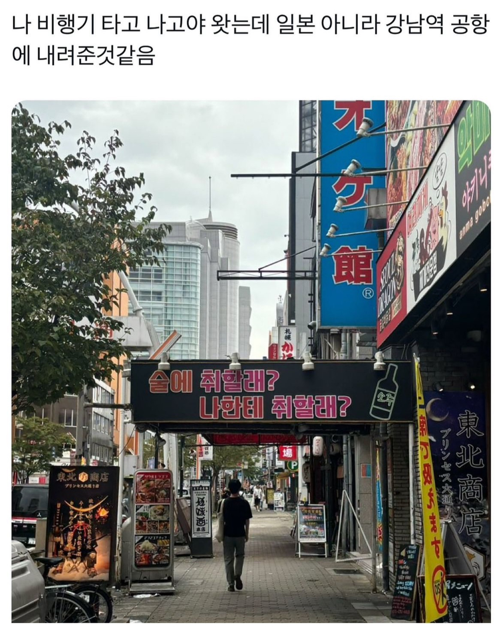 나 비행기 타고 나고야 왓는데 일본 아니라 강남역 공항에 내려준것같음.twt | 인스티즈