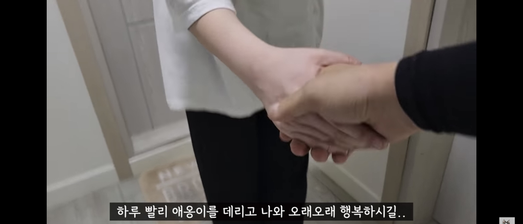 가족들 몰래 고양이를 갖다버린 아빠 | 인스티즈