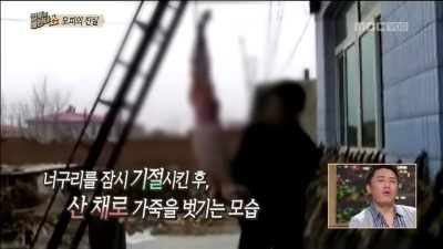 이번 겨울에 오리털 패딩 만원에 판다는 브랜드 ㄷㄷㄷ.JPG | 인스티즈