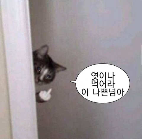 인스타 부계에 힘들때마다 올린짤 모음Zip | 인스티즈