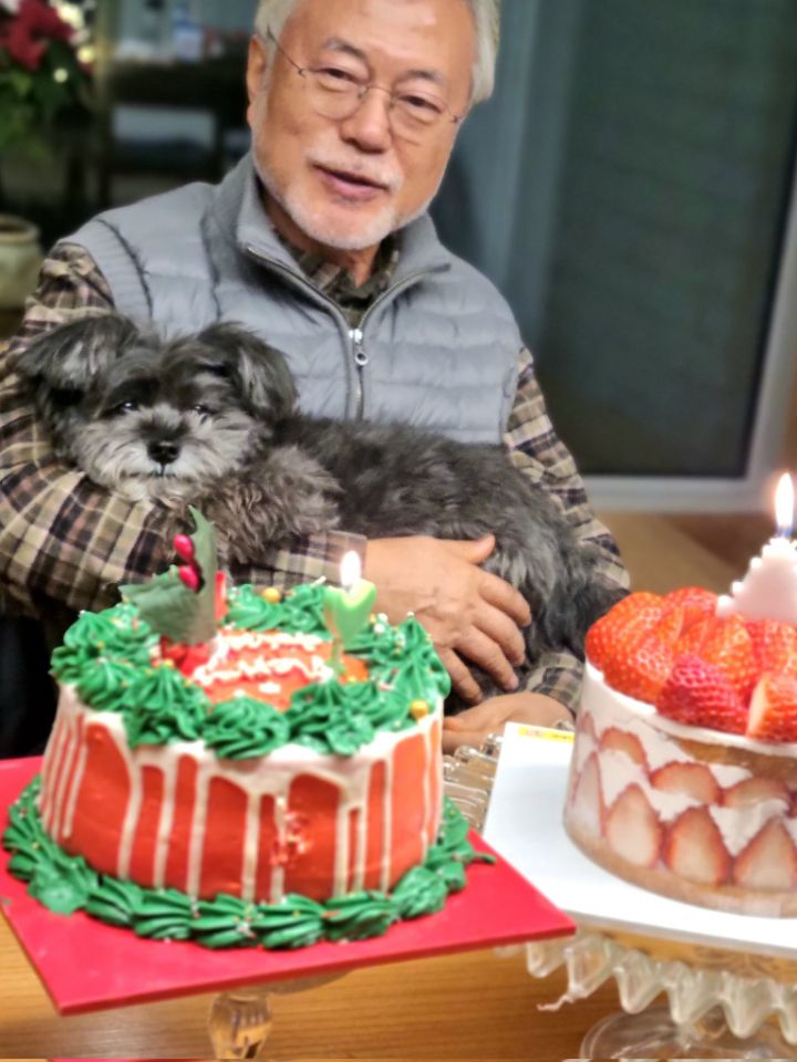 오늘자 올라온 문토리 사진 | 인스티즈