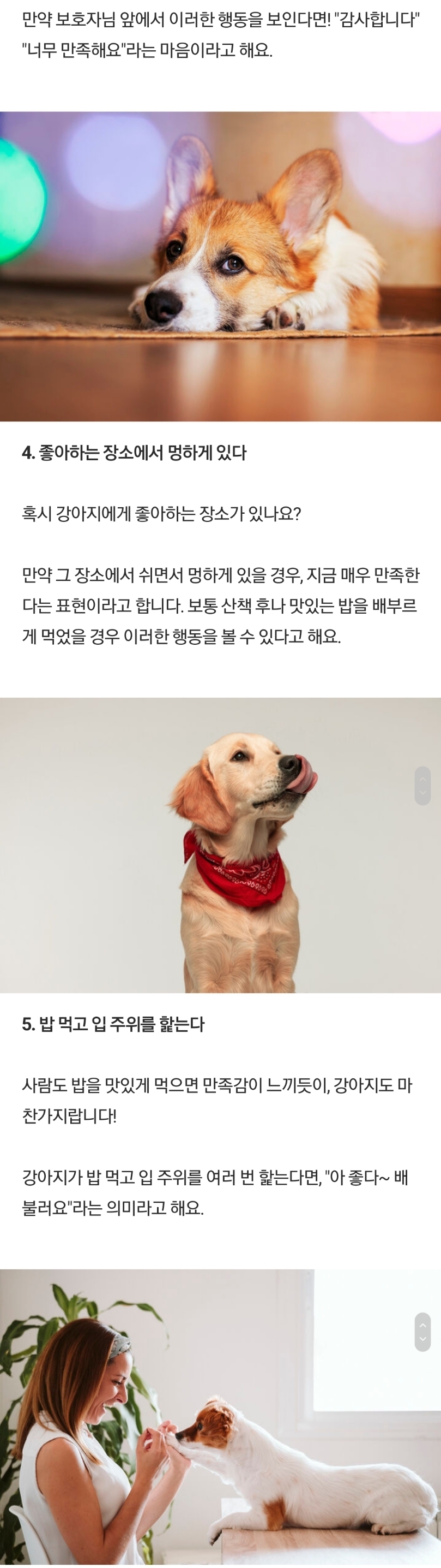 강아지가 만족했을 때 보내는 신호 | 인스티즈