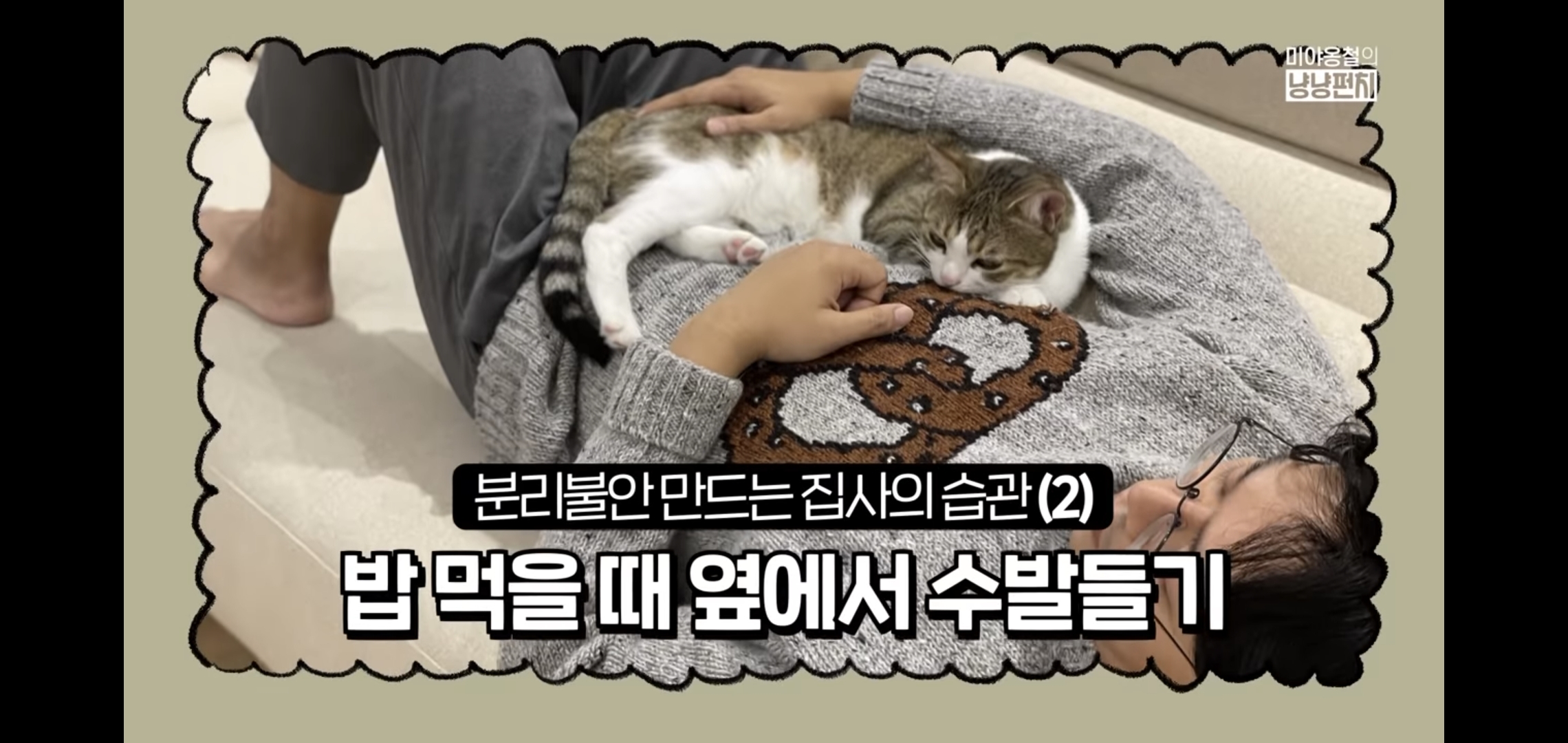 고양이 분리불안을 만드는 집사의 5가지 행동.jpg | 인스티즈