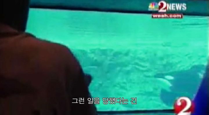 어느날 소방서에 고래가 조련사를 잡아 먹었다는 신고가 들어왔다 .jpg (스압주의) | 인스티즈