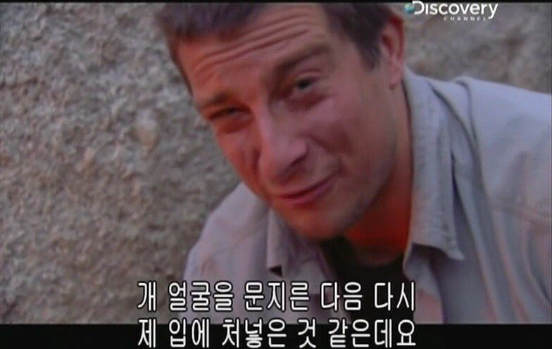 스컹크의 냄새는 방귀가 원인이 아니다 | 인스티즈