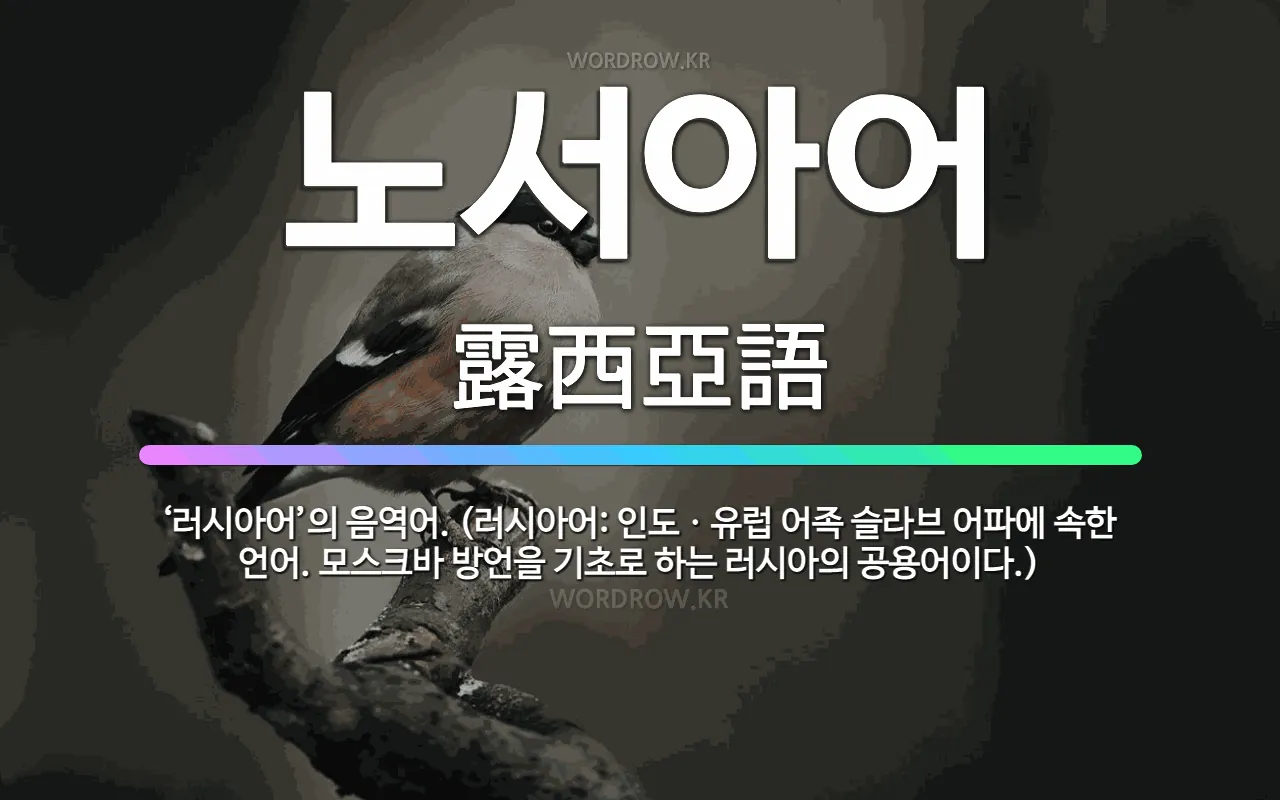 '노어=러시아어'아는게 상식인 이유.eu | 인스티즈