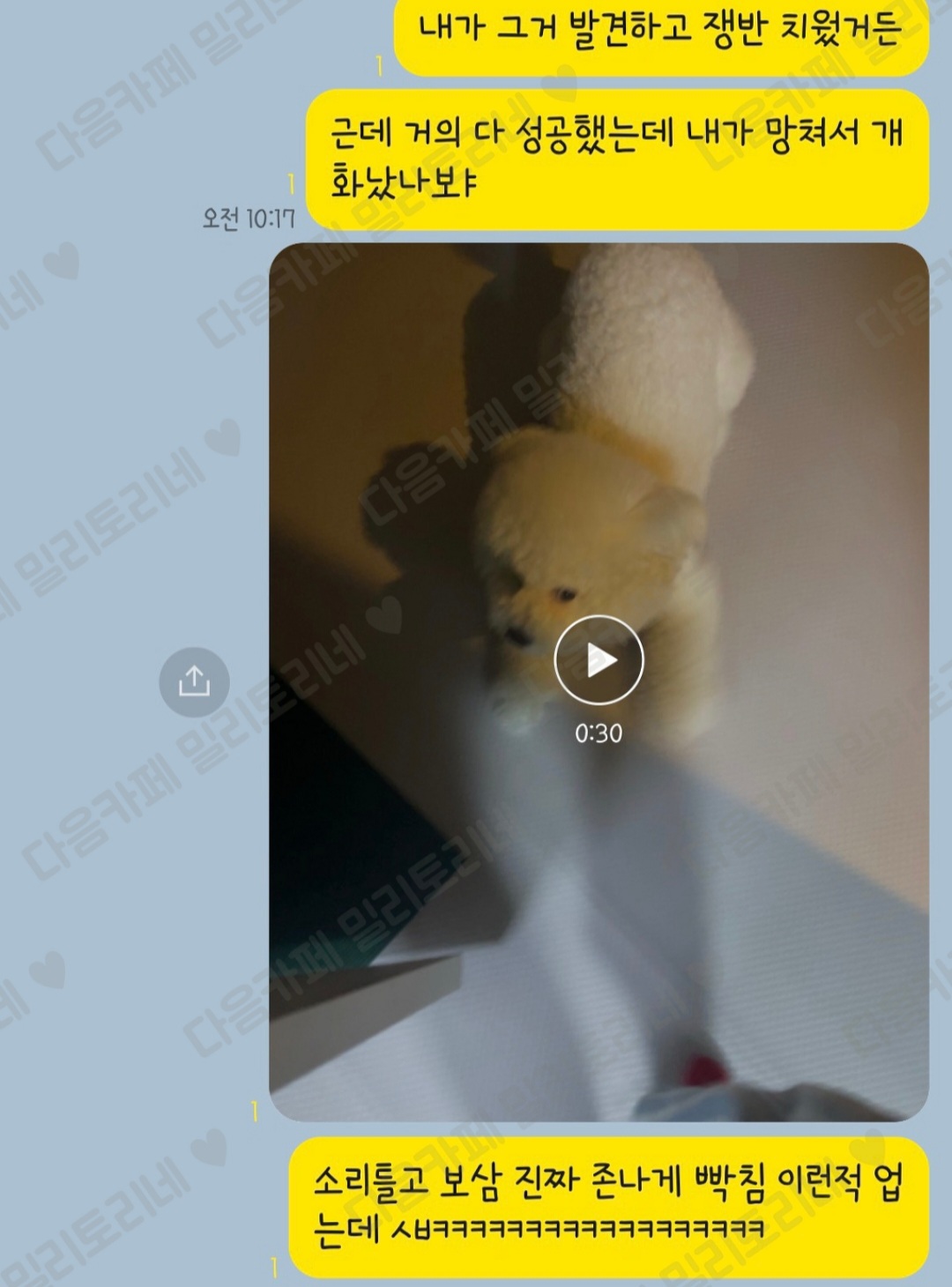 이거 셋 다 같은 강아지라고 함.jpg | 인스티즈