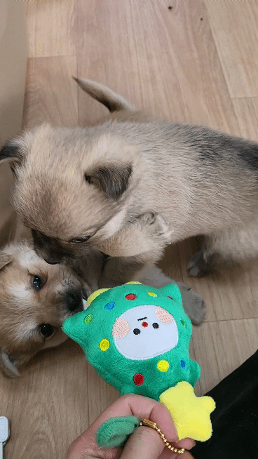 (공지라니... ++추가)새로생긴 회사 복지.. 미쳐서 도저히 일을 못하겠네.. (추가....)++추가 | 인스티즈