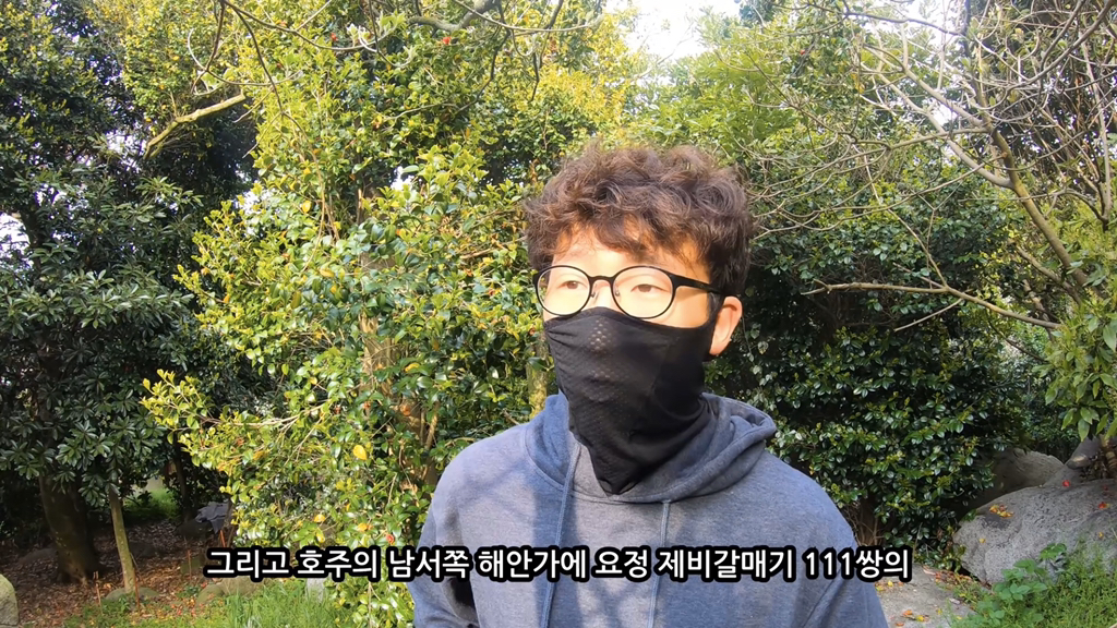 고양이가 자연생태계에 끼치는 심각한 영향(새 사체사진있음) | 인스티즈