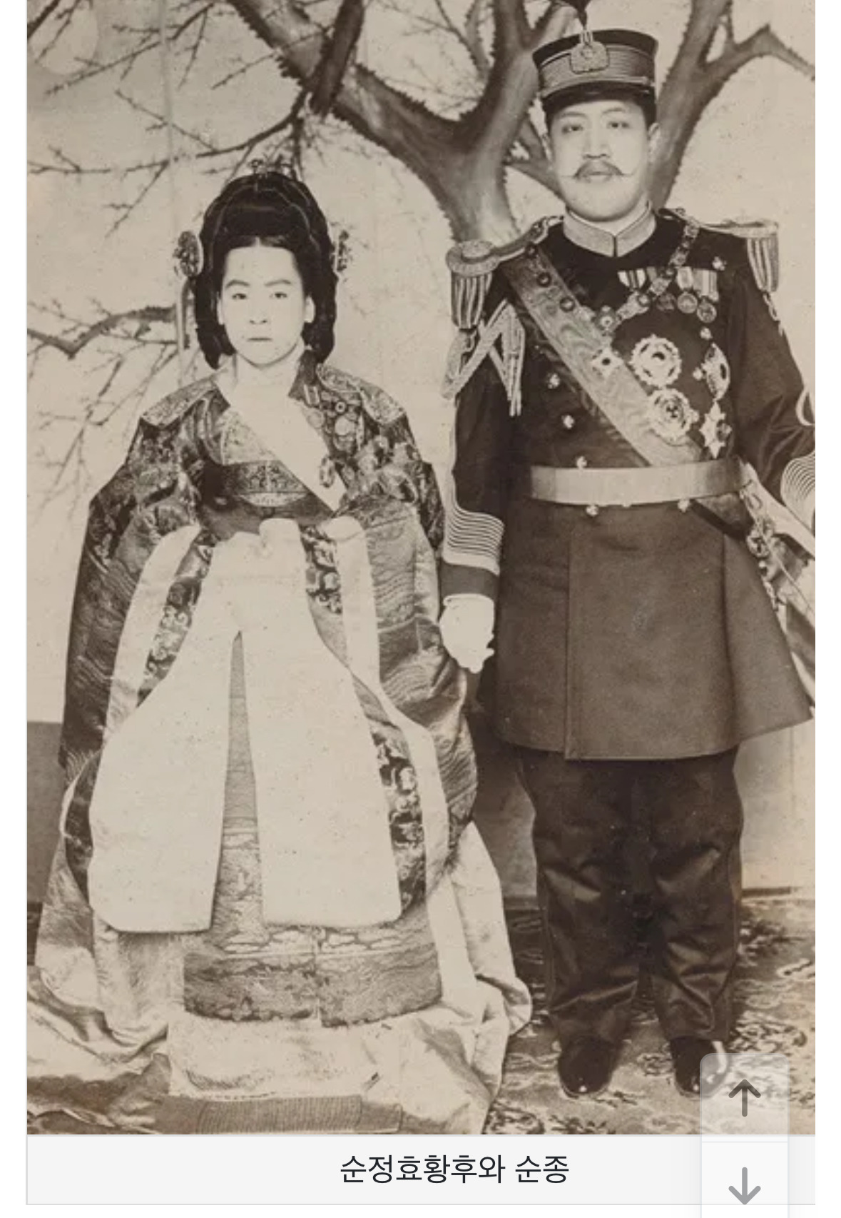 윤석열 진짜 족보 산 거 아님? | 인스티즈