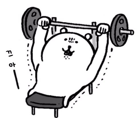 운동 PT 피티 첫날을 위한 준비물 가이드 공지한다💪 | 인스티즈