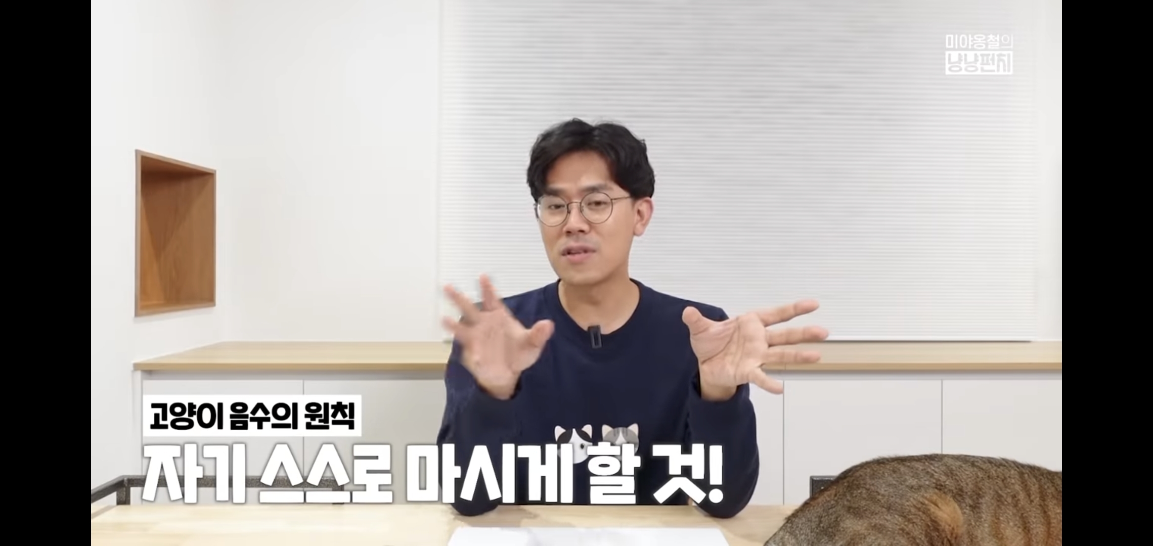 고양이 분리불안을 만드는 집사의 5가지 행동.jpg | 인스티즈