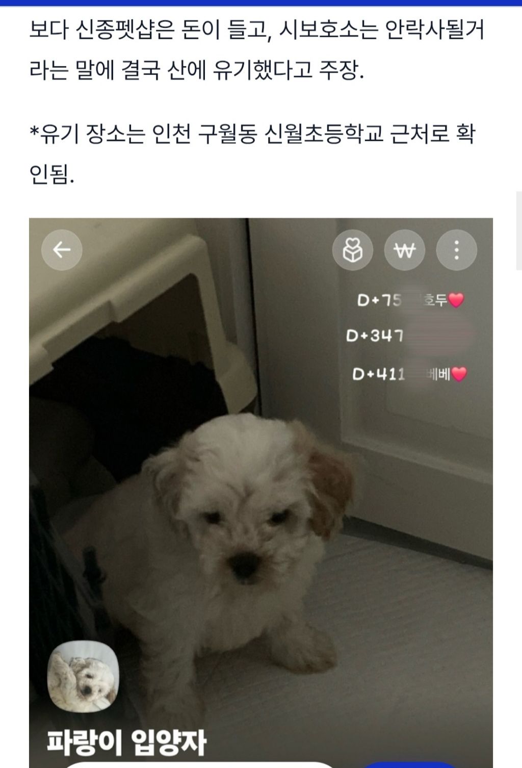 "2개월 아기강아지를 입양3일만에 유기한 20대 커플" 고발 서명 동참부탁해 | 인스티즈