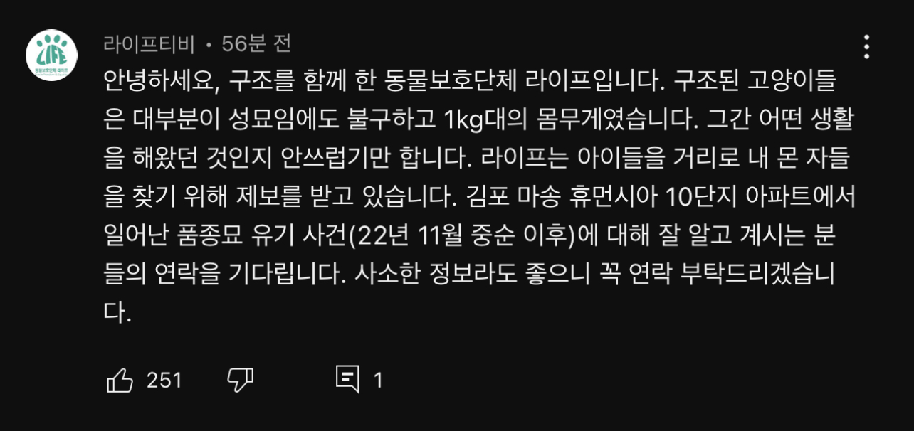 경기도 김포시 마송 휴먼시아 10단지 아파트내에 집단으로 유기된 노르웨이숲 고양이 | 인스티즈