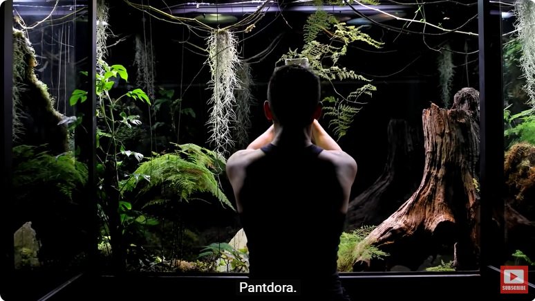 거대한 수조에 열대우림 환경을 조성해놓으면 생기는 일 - 2 | 인스티즈