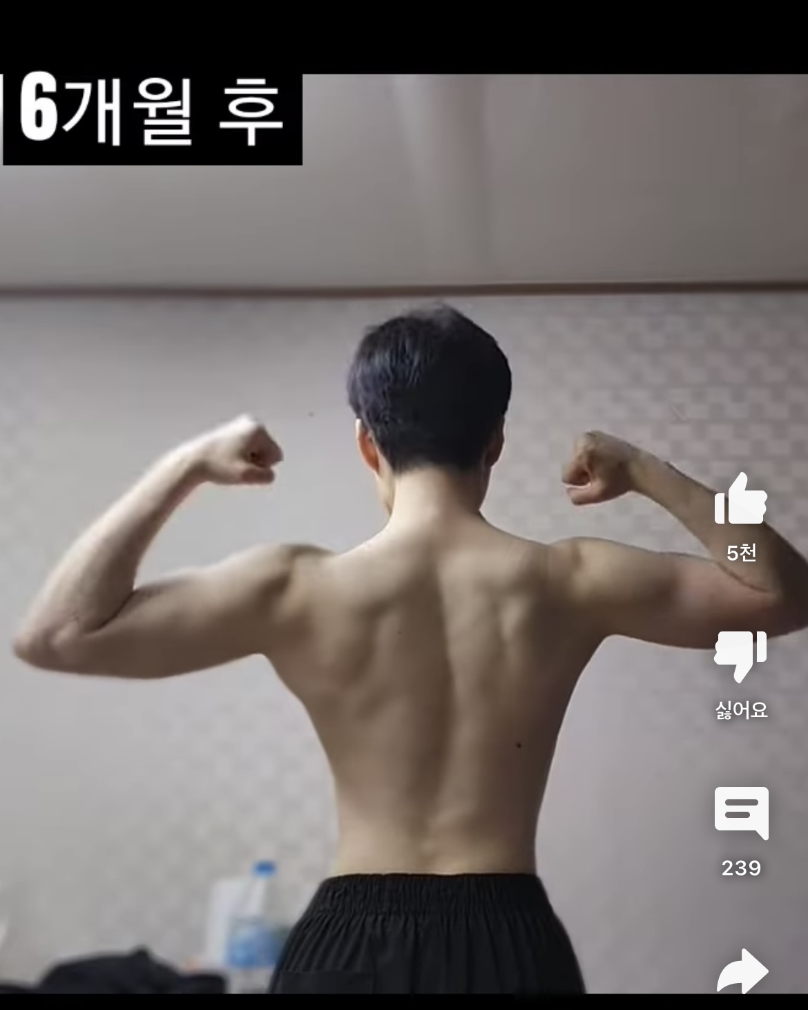 여자가 6개월동안 상체 웨이트 몰빵하면 생기는 일 | 인스티즈