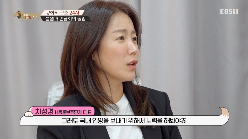 썩은물을 마시던 진돗개 가족을 입양한 배우 | 인스티즈