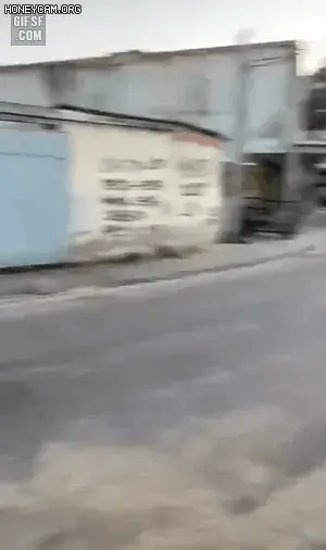 외국애들 피구하는 수준.gif | 인스티즈