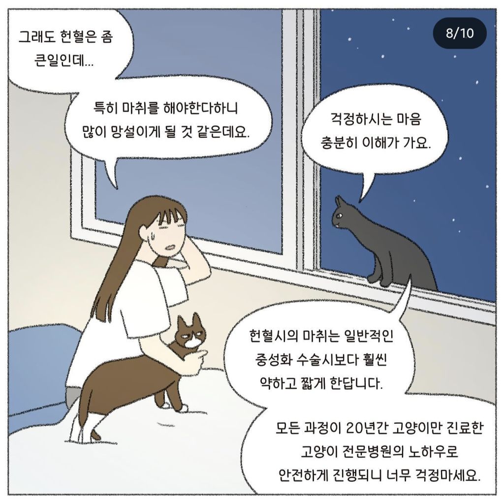 🐱💉고양이도 헌혈을 한다고? | 인스티즈