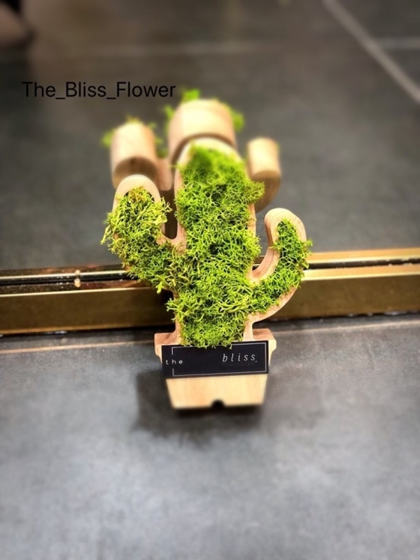아니 누가 대체 이끼를 돈 주고 사서 인테리어 제품으로 씀?; | 인스티즈