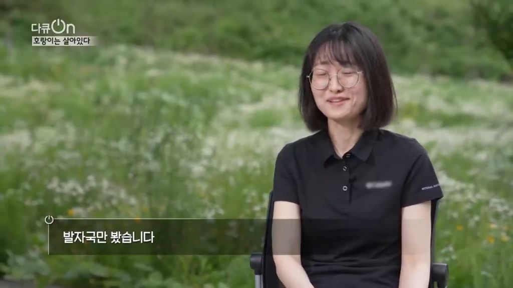 '절멸'의 '한국 호랑이'. 🐅 그 100년간의 이야기. -마지막- | 인스티즈