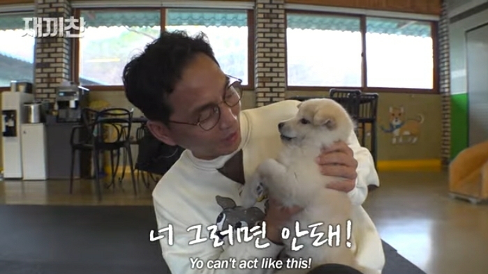 개농장에서 구출됐던 강아지 꽃님이의 버르장머리 없어진 최근 모습 | 인스티즈