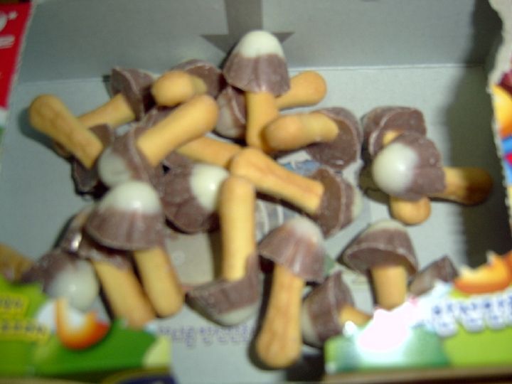 눈내린 초코송이.jpg | 인스티즈