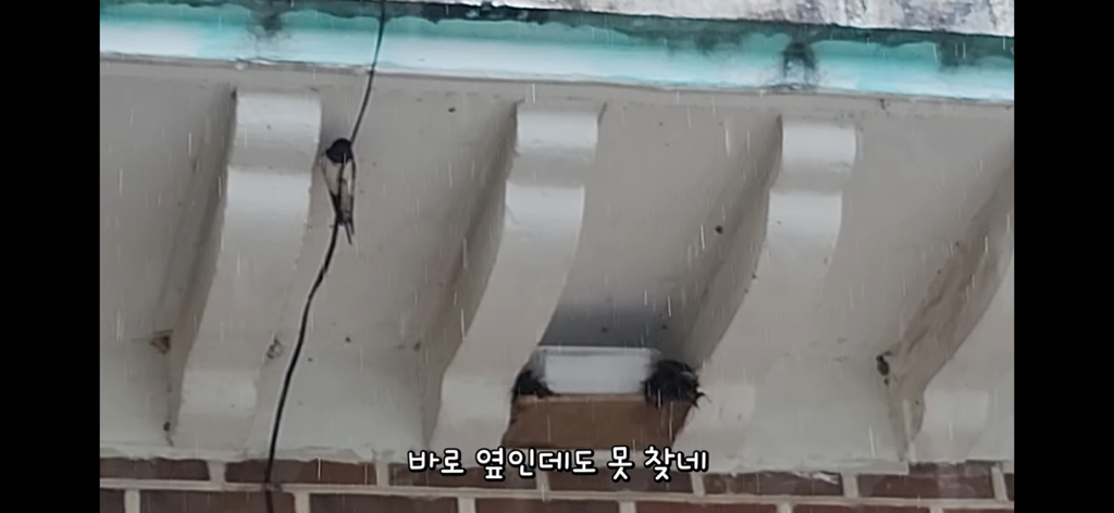 금은보화가 들어있는 박씨를 얼마나 받을지 궁금한 매탈남 | 인스티즈