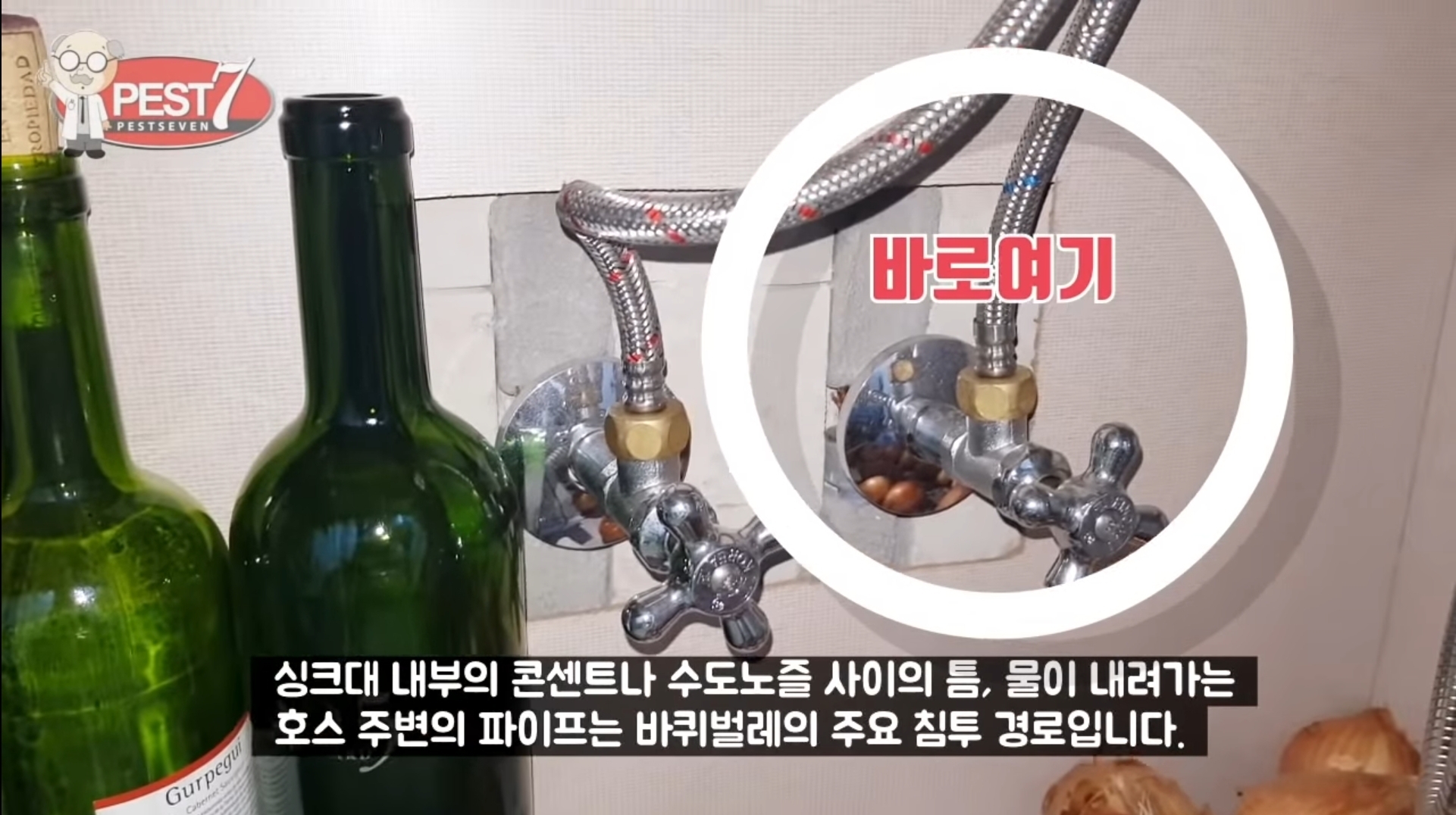 원룸 바퀴벌레 주요 유입구(벌레사진주의) | 인스티즈