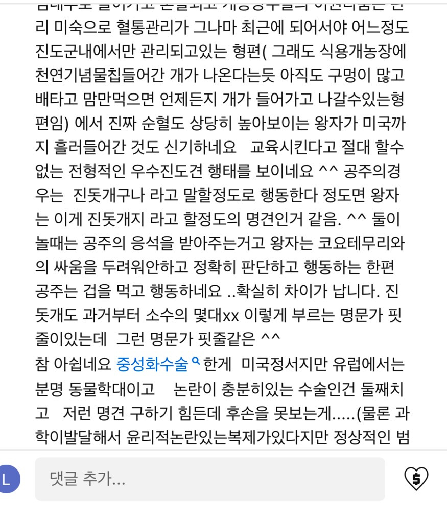 진짜 명견 같은 올리버쌤네 왕자 | 인스티즈