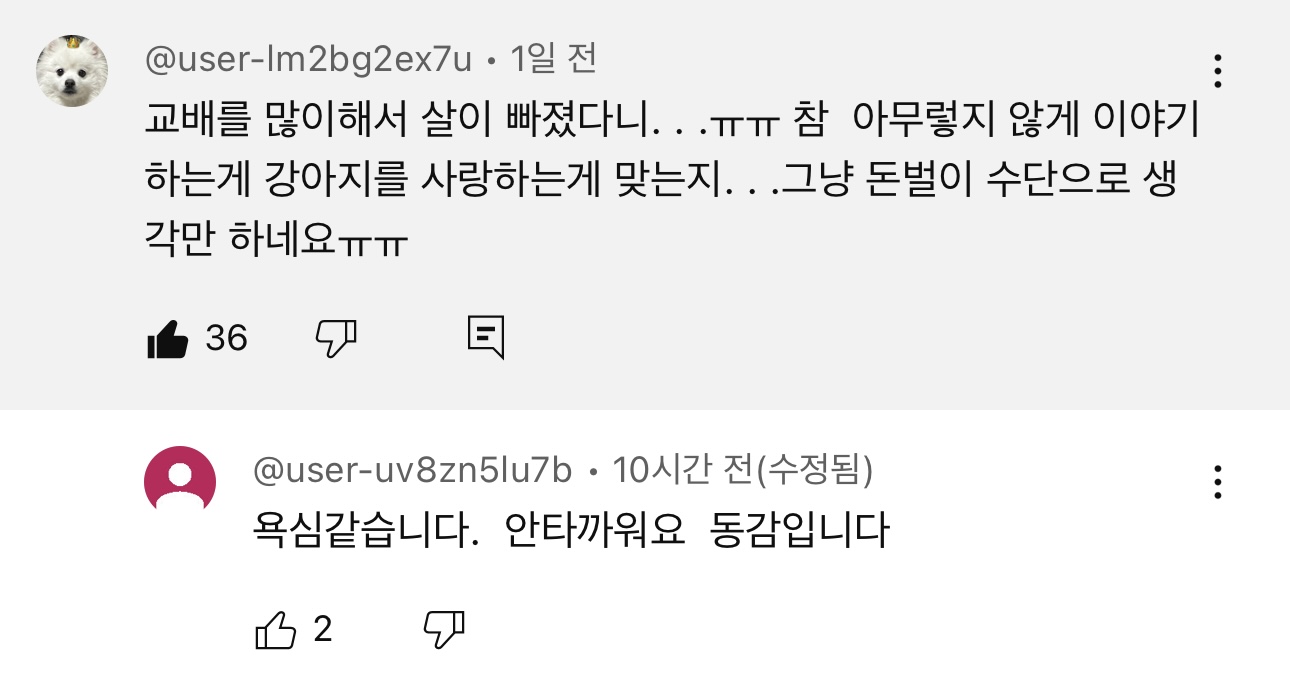 야채먹는 진돗개 삼용이네.. 또 진돗개 데려옴 | 인스티즈