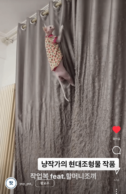 집사들 커튼상황 | 인스티즈