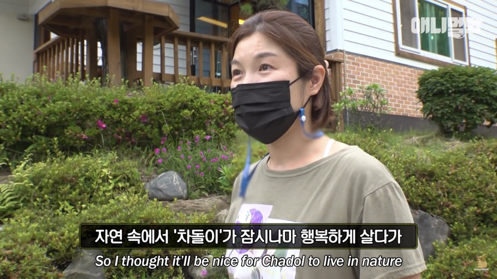 1년만에 자신을 두고 간 주인을 만난 강아지 반응 | 인스티즈